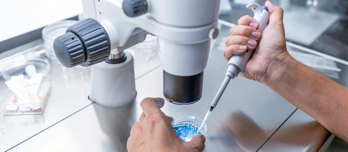 Tout savoir sur le don d'ovocytes en France